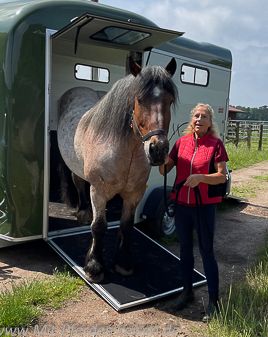 Pferdeanhaenger-Cheval-Liberte-Touring-XL-35