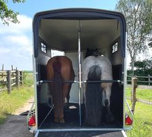 Pferdeanhaenger-Cheval-Liberte-Touring-XL-Pferde-v